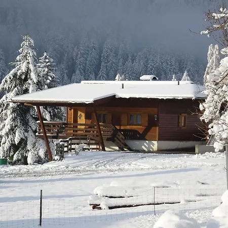 Ferienhaus Pirc In *